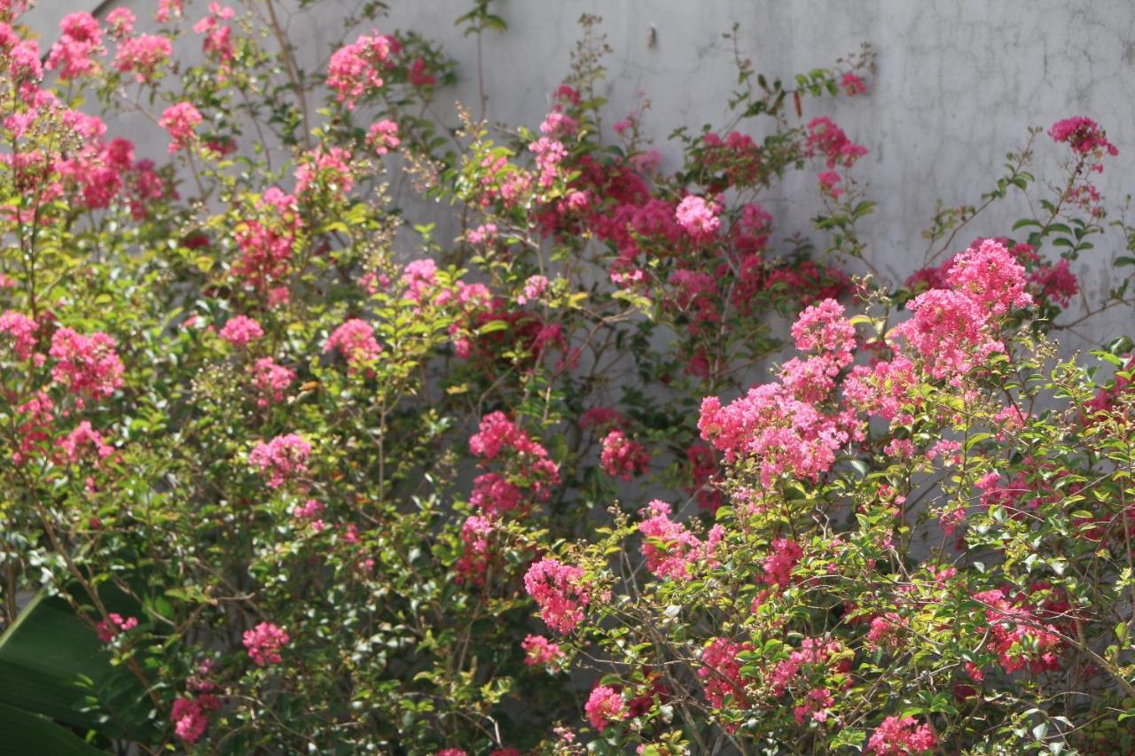 Minh Phat Homestay Χόι Αν Εξωτερικό φωτογραφία